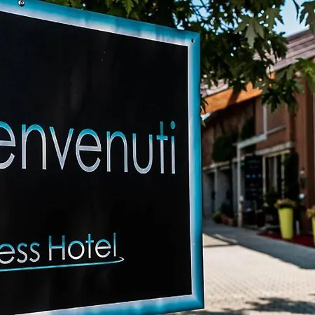 Business Hotel 3*